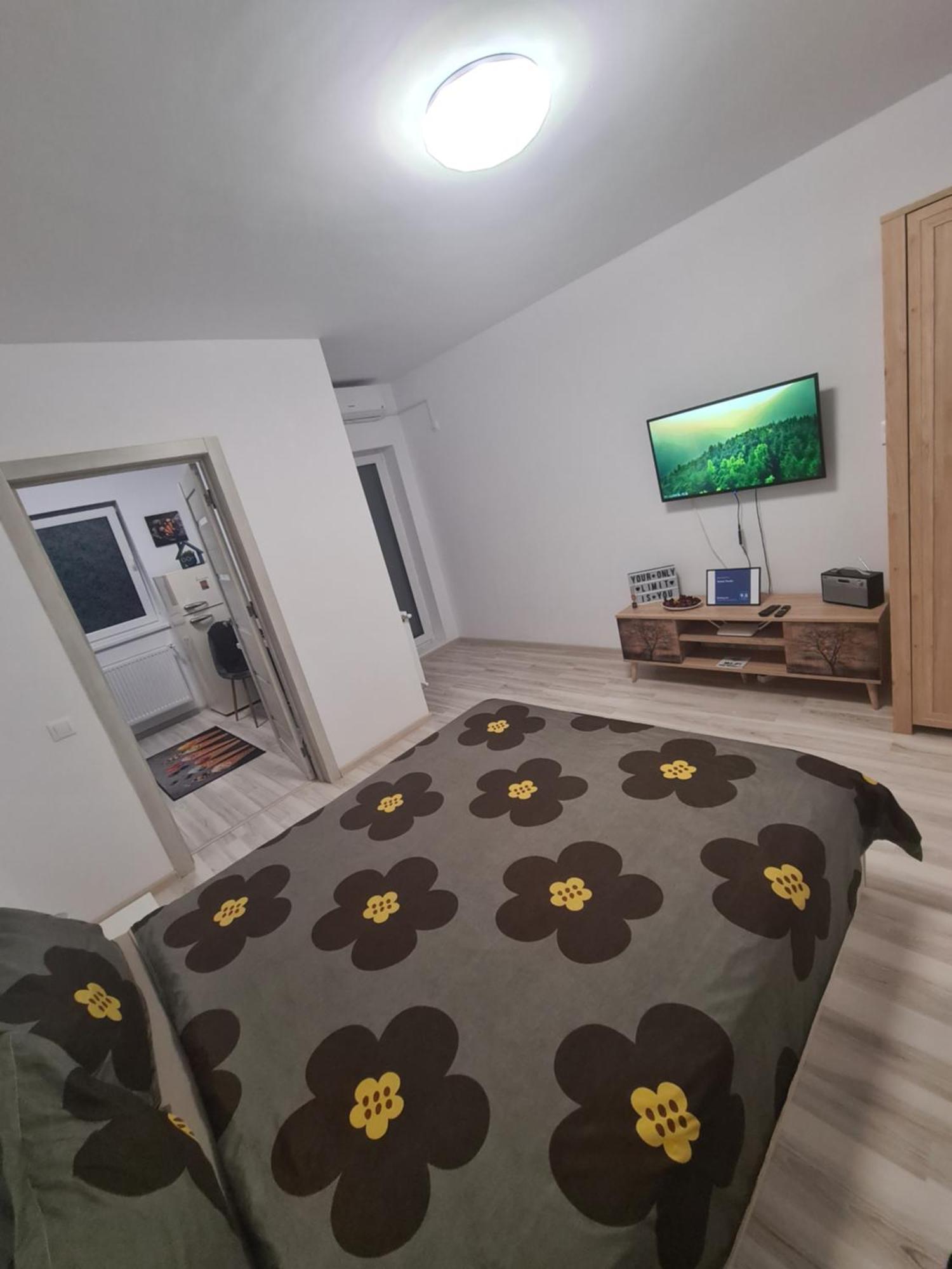 Siriului Studio Bükreş Dış mekan fotoğraf